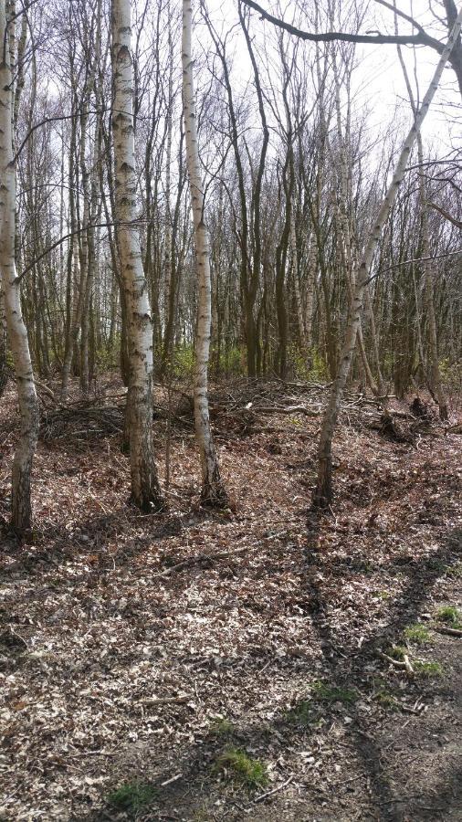 B&B Perron 22 Vierlingsbeek Bagian luar foto